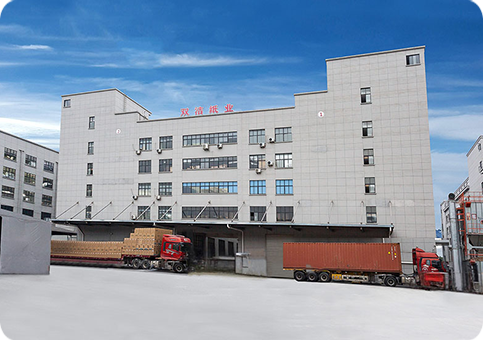 Site -ul nostru este online